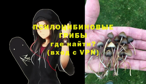 трава Елизово